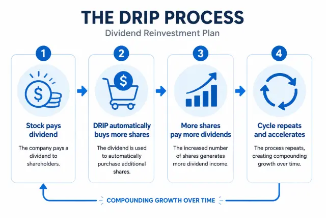 Four-step DRIP cycle infographic showing dividends buying shares which generate more dividends